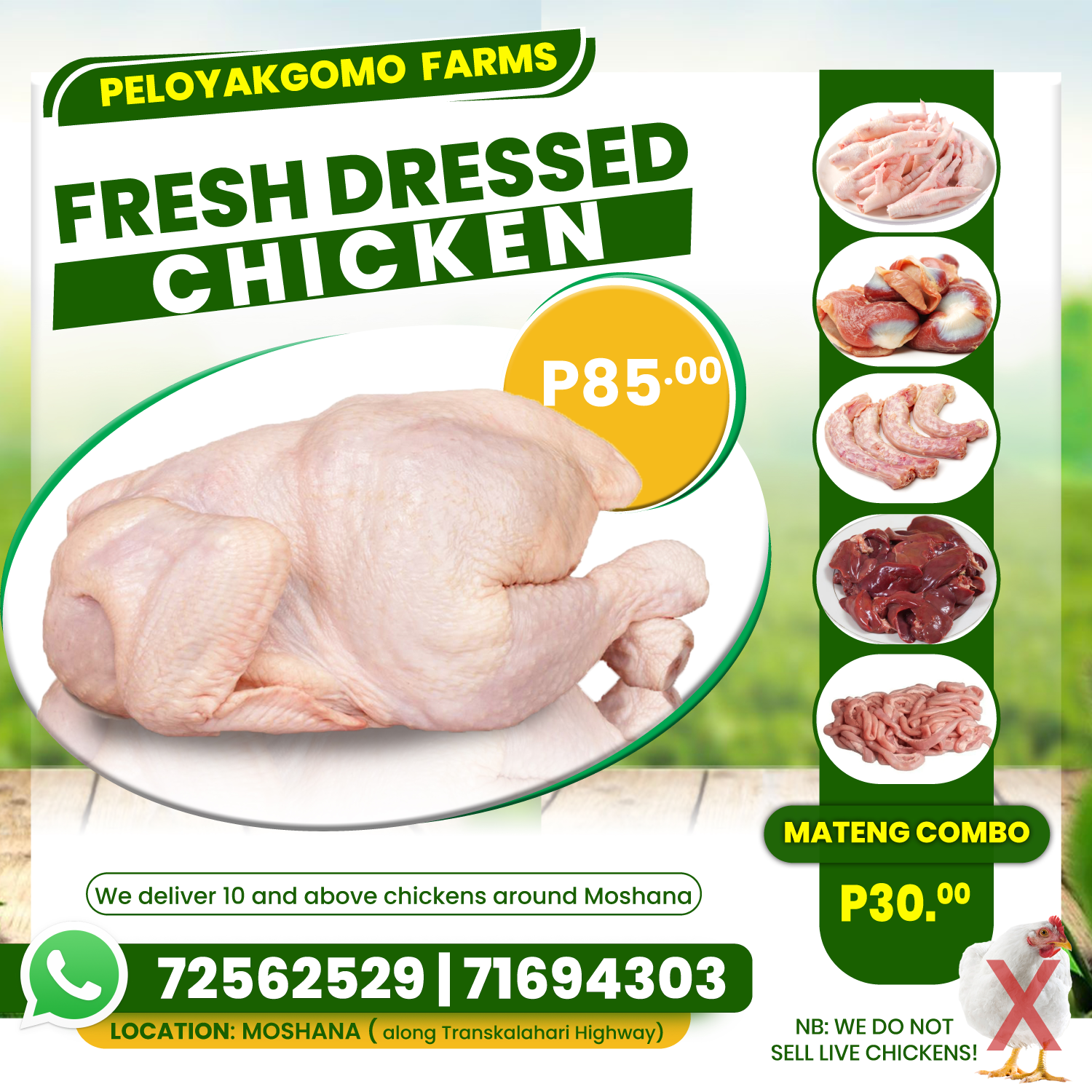 Broilers 2026 — Poultry Flyer