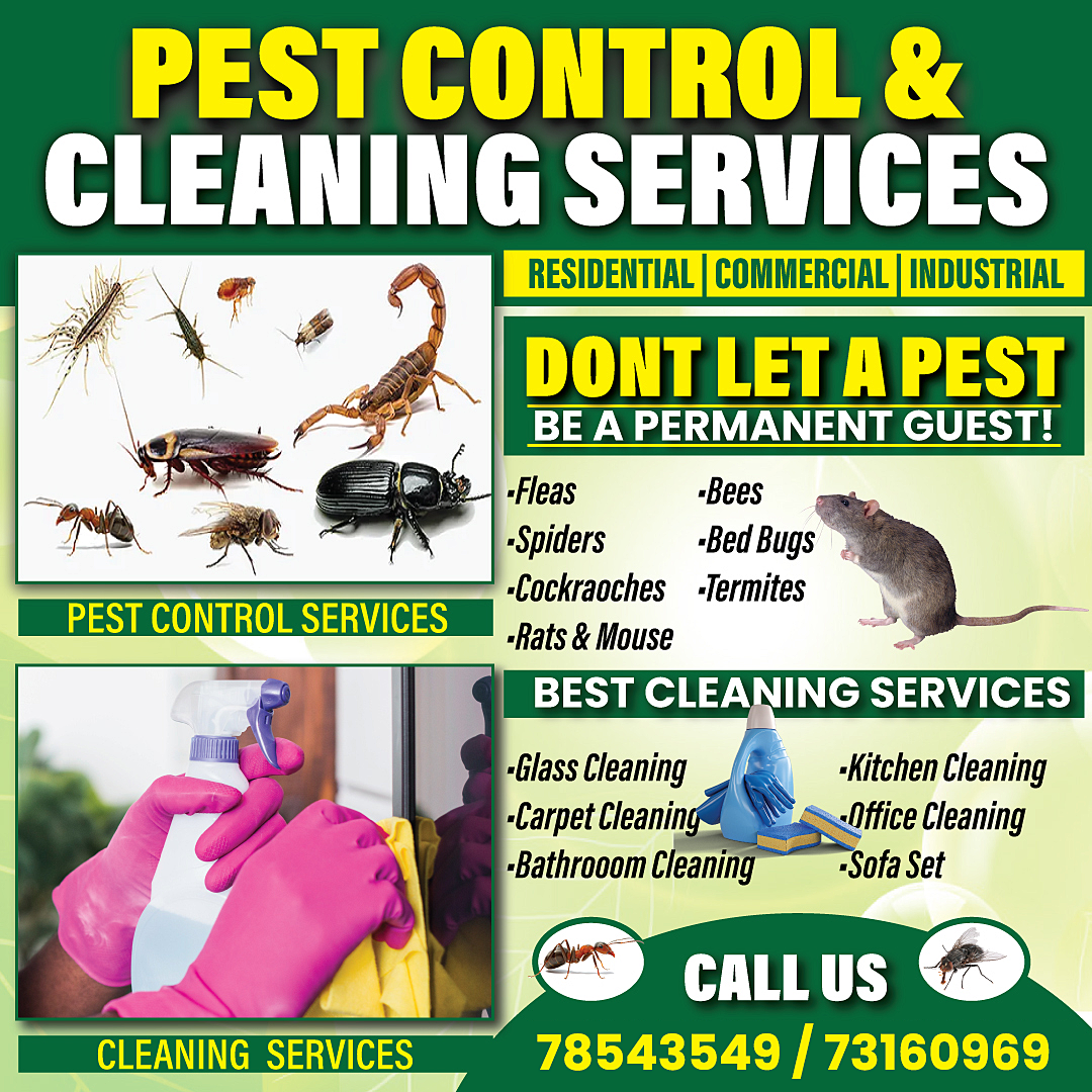 Pest Control Services Flyer